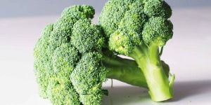 Fresh Broccoli
