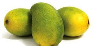 Fresh Langra Mango