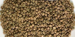 Robusta Cherry Aa Coffee BEAN