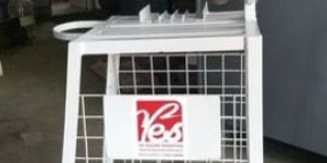 Coconut Cutting Machine