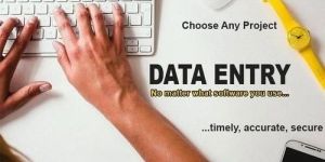 EARN HANDSOME MONEY BY DOING SIMLE DATA ENTRY WORK