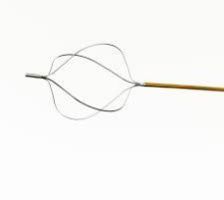 Stone Retrieval Basket