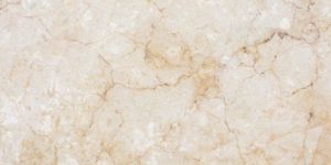 Ceramic Vitrified Tiles