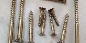 Nickel Polished Stainless Steel Screw