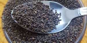 Jakhiya Seeds