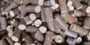 Bio Mass Briquettes