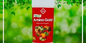 Amino Gold