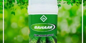 Bahaar