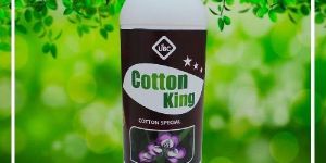 Cotton King