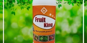 Fruit King