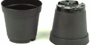 5 Inch Nursery Pot