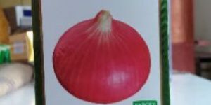 Onion Seeds