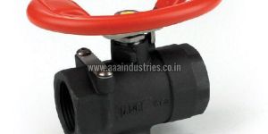 Steam Trap Valve