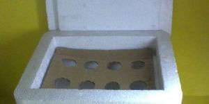 Thermocol Boxes