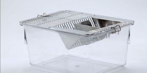 Laboratory Mice Cage