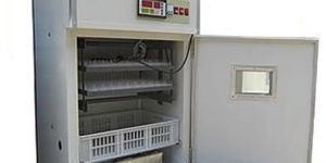 Egg Hatching Machine