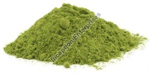 Moringa Powder