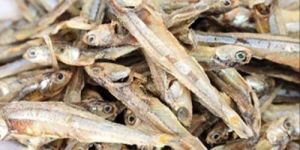 Dried Anchovy Fish