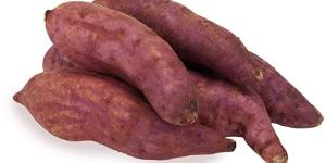 Fresh Sweet Potato