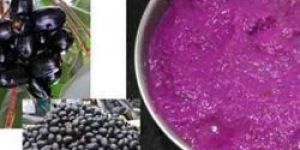 Frozen Jamun Pulp