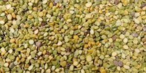 Chana Dal Mix Cattle Feed