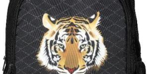 Trendy School Backpack