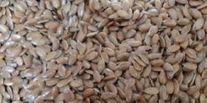 Organic Flax Seeds