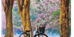 Sundaram Winner Note Book - 32 Pages (E-11)