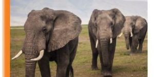 Sundaram Winner Note Book (Soft Bound) - 172 Pages