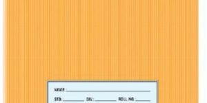 Sundaram Winner Brown Note Book (Unrulled) - 172 Pages