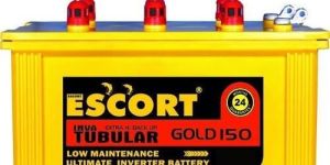 Gold 150 Inverter Battery