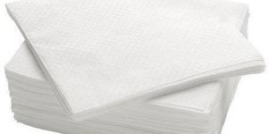 Paper Napkin