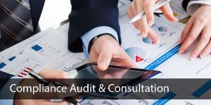 Compliance Audit Services