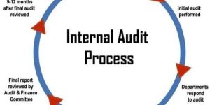 Internal Audit & Control Review Services