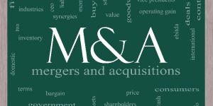 Merger & Acquisition Consultancy