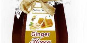 Naturapure Ls -100% Pure Natural Super Delicious And Therapeutic Ginger Infused Wild Forest Honey