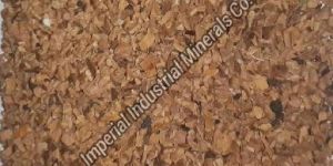 Medium Walnut Shell Nut Plug