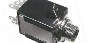 Stereo Enclosed Switched Socket