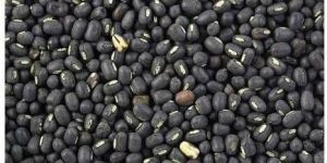 Black Urad Dal