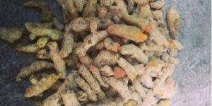 Unpolished Turmeric Finger