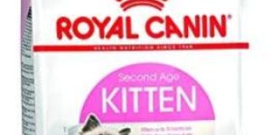 Royal Canin Kitten Cat Food