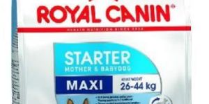 Royal Canin Starter Mother and Baby Dog Food