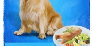 Smart Heart Chicken & Egg Dog Food