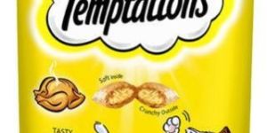 Temptation Cat Trea Cat Food
