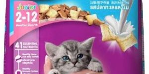 Whiskas Kitten Dry Cat Food