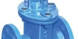 Di Resilient Gate Valve