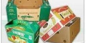 Printed Fruit Packaging Boxes