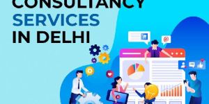 Financial Consultancy Services