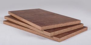 Shuttering Plywood