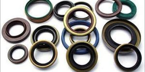 Oil Seal